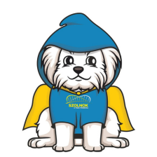 Szolnok Városi Állatotthon